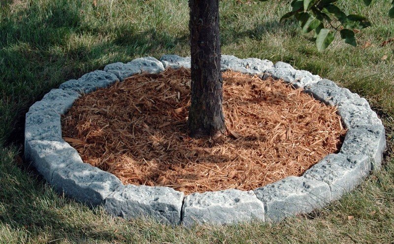 Приствольный круг для деревьев из бордюрной ленты