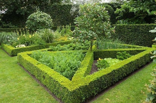 Ландшафтный дизайн сада и огорода