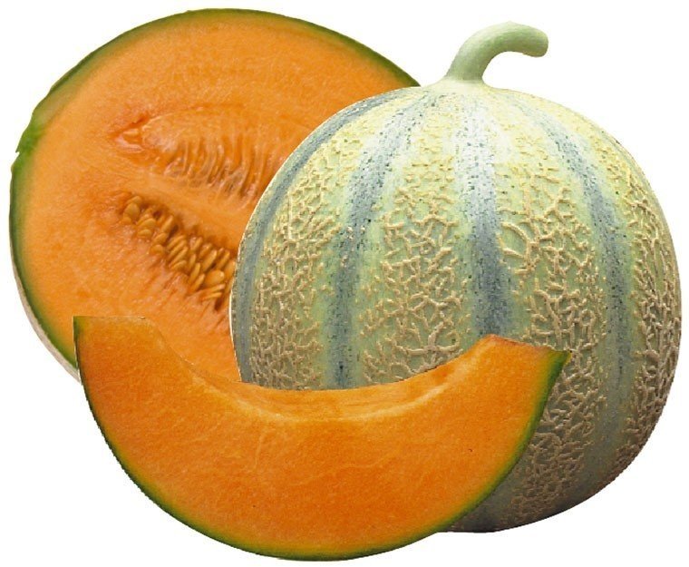 Дыня канталупа апельсин