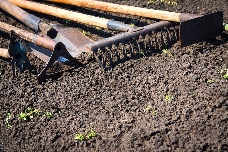 Для рыхления почвы в огороде инструмент