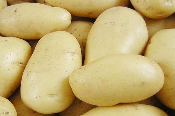 Сорт картофеля гала