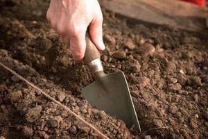 Обработка почвы для рассады