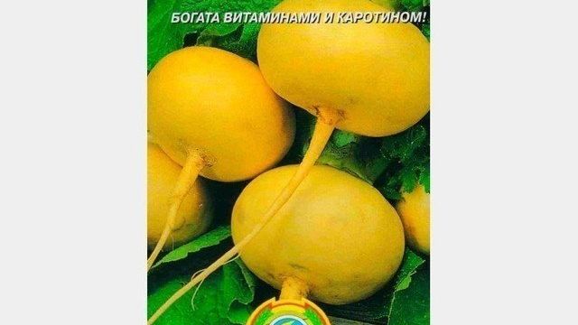 Репа Петровская – сладкий сорт от отечественных селекционеров