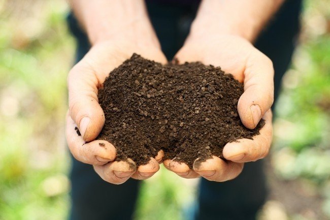 Почва в руках человека