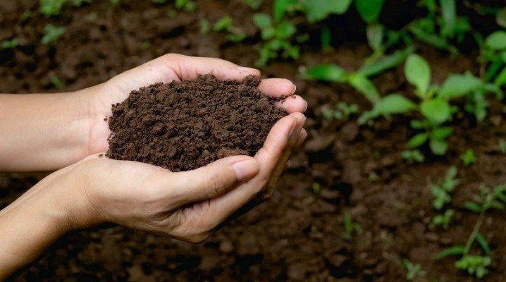 Garden soil земля