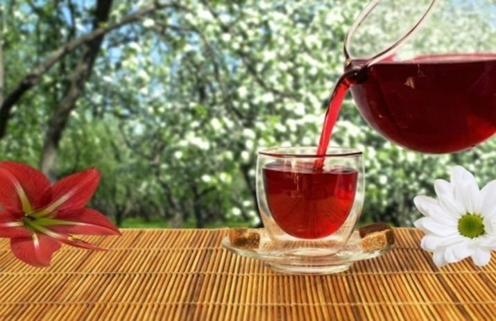 Чай с лимонником повышает или понижает давление