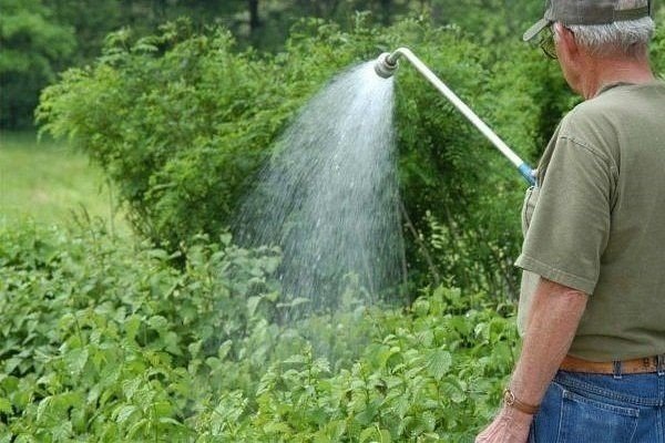Штанга-распылитель для полива gardena
