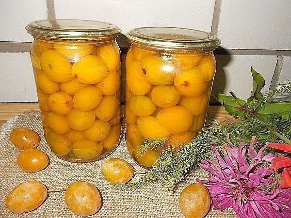 Компот из абрикосов с мятой