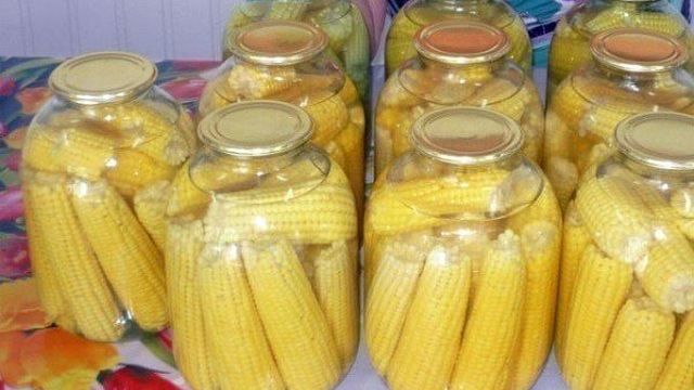 Способы сохранить початки кукурузы в домашних условиях
