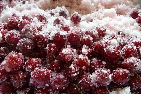 Замороженные ягоды калины
