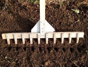 Приспособление для посадки лука севка