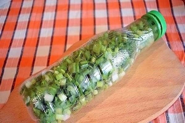 Зелень в пластиковых бутылках